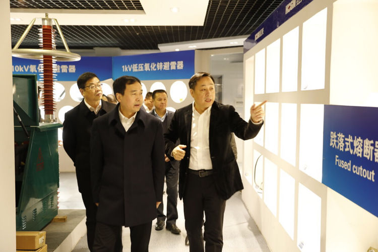 温州市委常委、组织部长马永良莅临百乐博电气集团调研指导